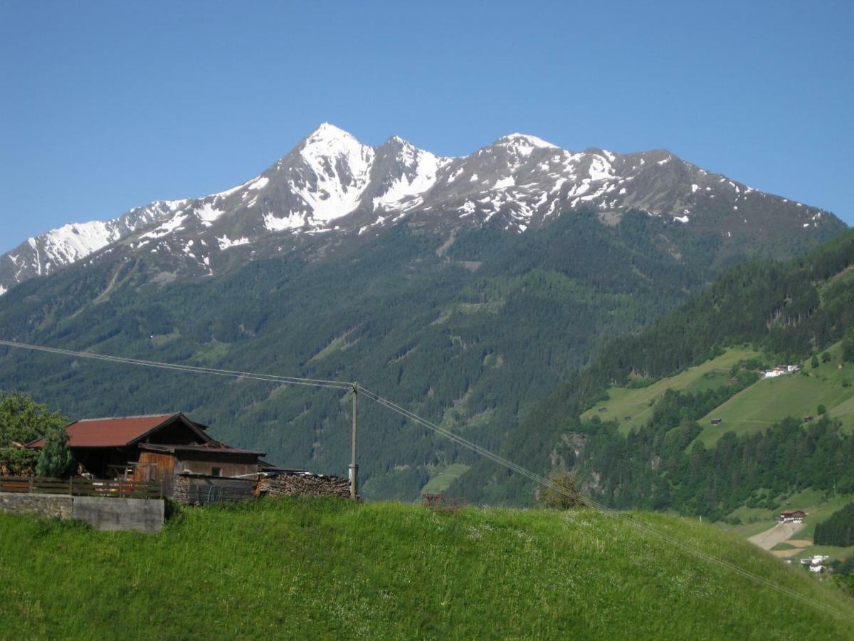 Apartamento Haus Gamskogl Neustift im Stubaital Exterior foto