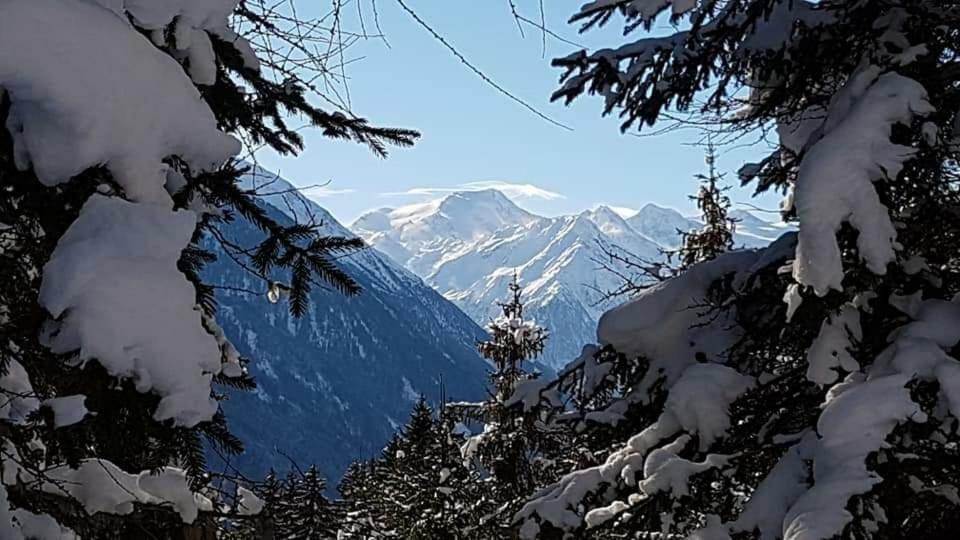 Apartamento Haus Gamskogl Neustift im Stubaital Exterior foto