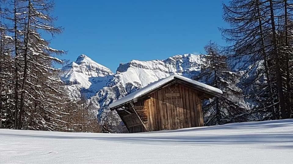 Apartamento Haus Gamskogl Neustift im Stubaital Exterior foto