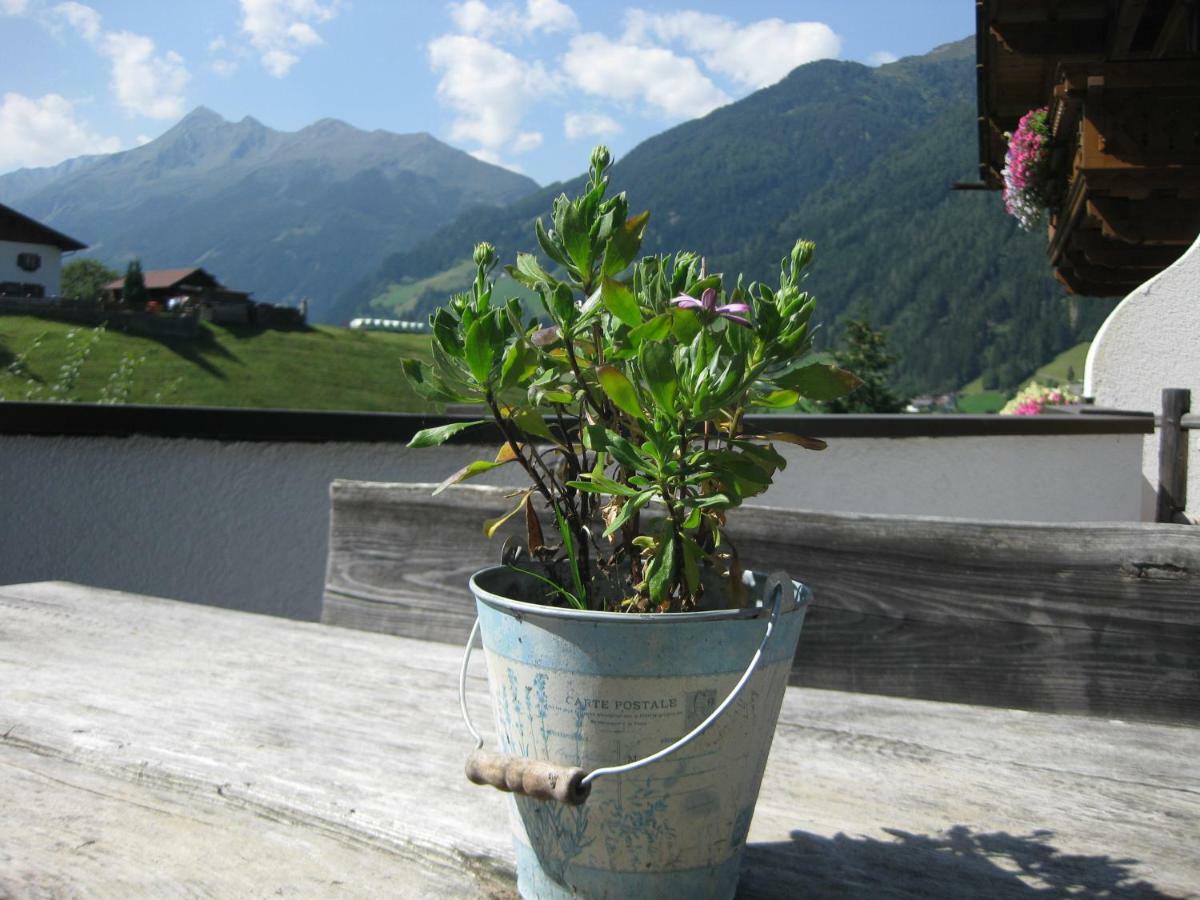Apartamento Haus Gamskogl Neustift im Stubaital Exterior foto